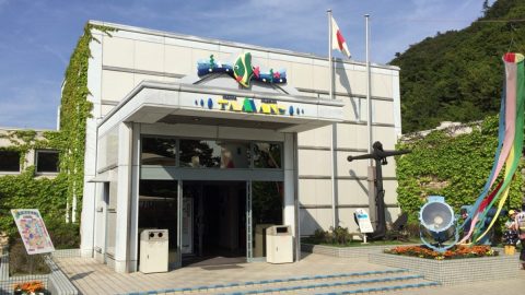 渋川マリン水族館